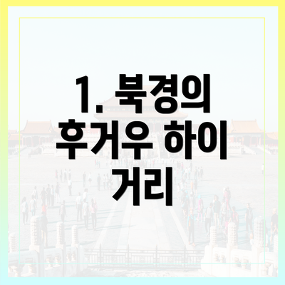1. 북경의 후거우 하이 거리