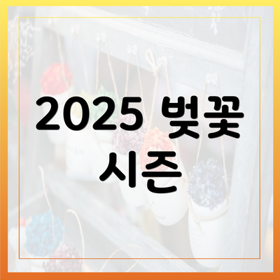 2025 벚꽃 시즌