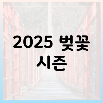 2025 벚꽃 시즌