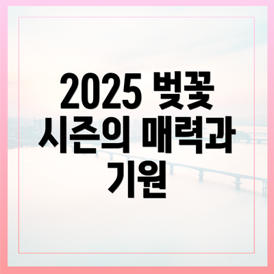 2025 벚꽃 시즌의 매력과 기원