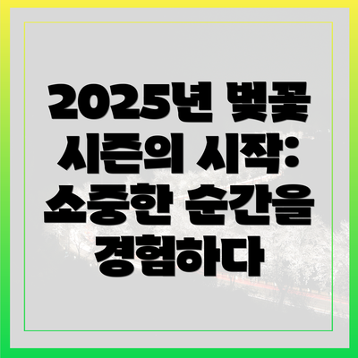 2025년 벚꽃 시즌의 시작: 소중한 순간을 경험하다