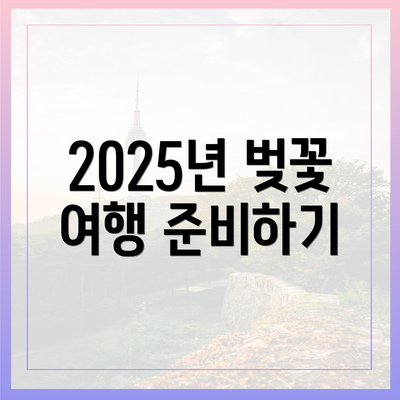 2025년 벚꽃 여행 준비하기