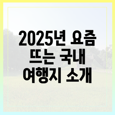 2025년 요즘 뜨는 국내 여행지 소개