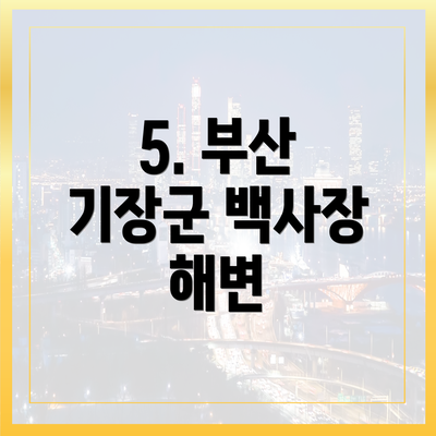 5. 부산 기장군 백사장 해변