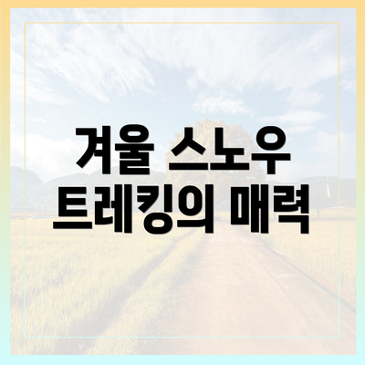 겨울 스노우 트레킹의 매력