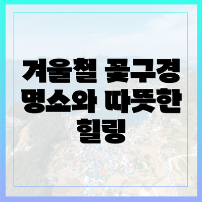 겨울철 꽃구경 명소와 따뜻한 힐링
