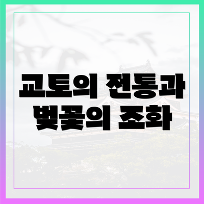 교토의 전통과 벚꽃의 조화