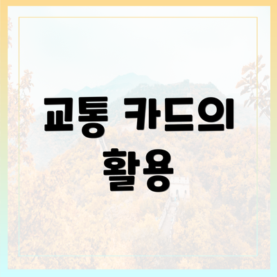 교통 카드의 활용