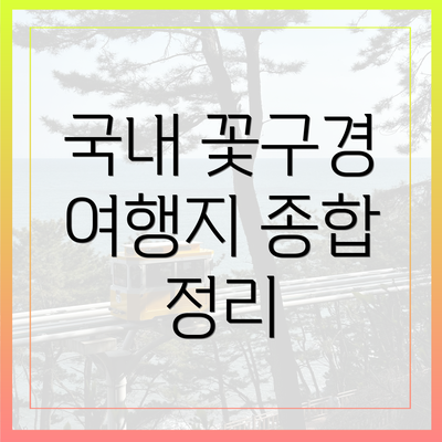 국내 꽃구경 여행지 종합 정리