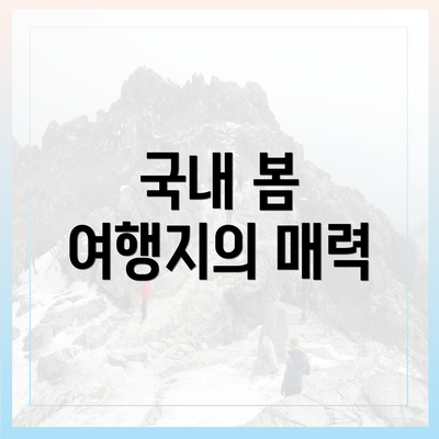 국내 봄 여행지의 매력