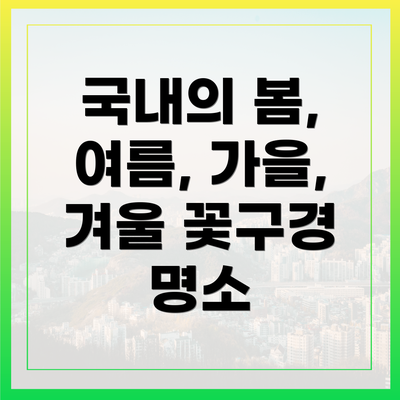 국내의 봄, 여름, 가을, 겨울 꽃구경 명소
