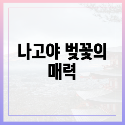 나고야 벚꽃의 매력
