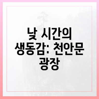 낮 시간의 생동감: 천안문 광장