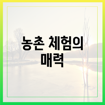 농촌 체험의 매력