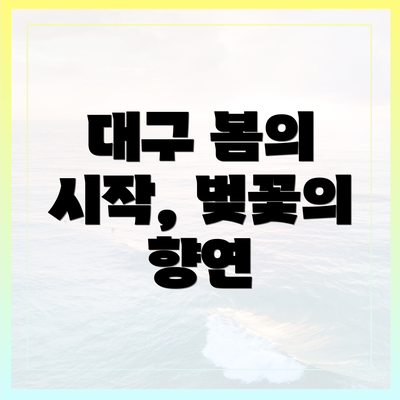 대구 봄의 시작, 벚꽃의 향연