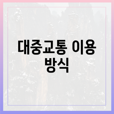 대중교통 이용 방식