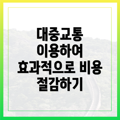 대중교통 이용하여 효과적으로 비용 절감하기