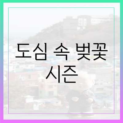 도심 속 벚꽃 시즌