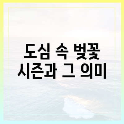 도심 속 벚꽃 시즌과 그 의미