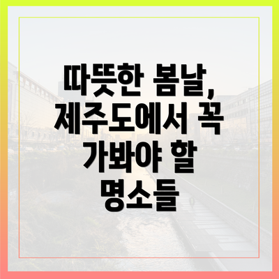 따뜻한 봄날, 제주도에서 꼭 가봐야 할 명소들