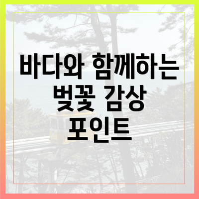 바다와 함께하는 벚꽃 감상 포인트