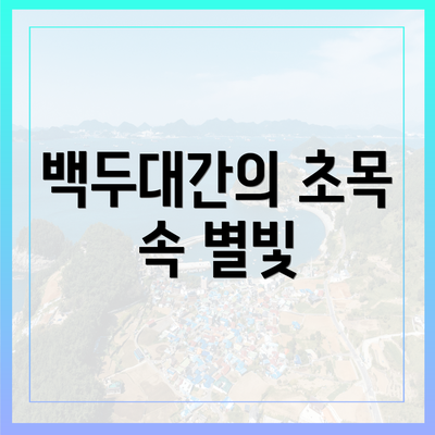 백두대간의 초목 속 별빛