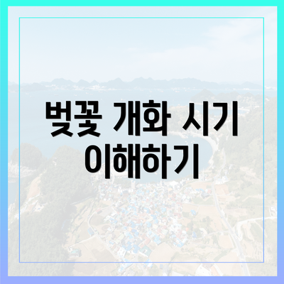 벚꽃 개화 시기 이해하기