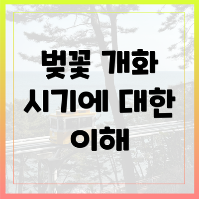 벚꽃 개화 시기에 대한 이해
