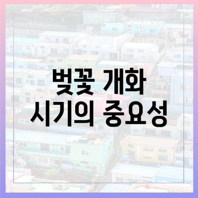 벚꽃 개화 시기의 중요성