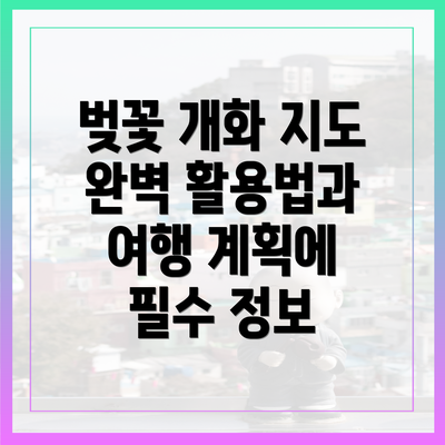 벚꽃 개화 지도 완벽 활용법과 여행 계획에 필수 정보