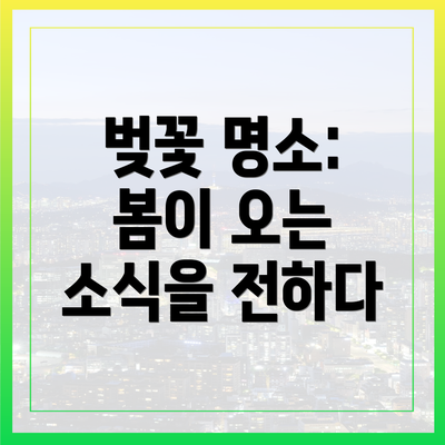 벚꽃 명소: 봄이 오는 소식을 전하다