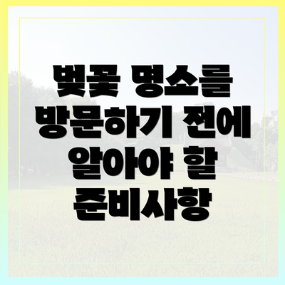 벚꽃 명소를 방문하기 전에 알아야 할 준비사항