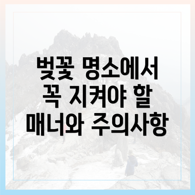 벚꽃 명소에서 꼭 지켜야 할 매너와 주의사항
