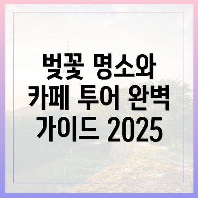 벚꽃 명소와 카페 투어 완벽 가이드 2025