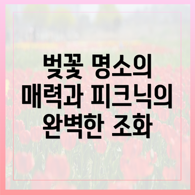 벚꽃 명소의 매력과 피크닉의 완벽한 조화