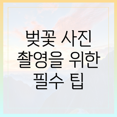 벚꽃 사진 촬영을 위한 필수 팁