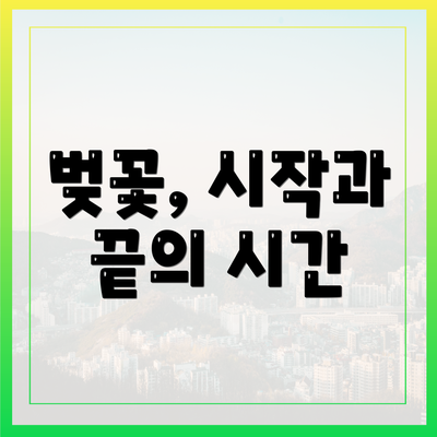 벚꽃, 시작과 끝의 시간