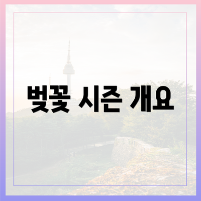 벚꽃 시즌 개요