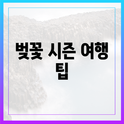 벚꽃 시즌 여행 팁