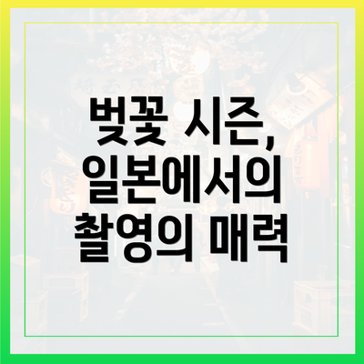 벚꽃 시즌, 일본에서의 촬영의 매력