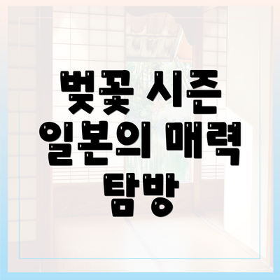 벚꽃 시즌 일본의 매력 탐방