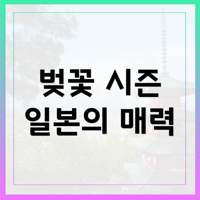 벚꽃 시즌 일본의 매력