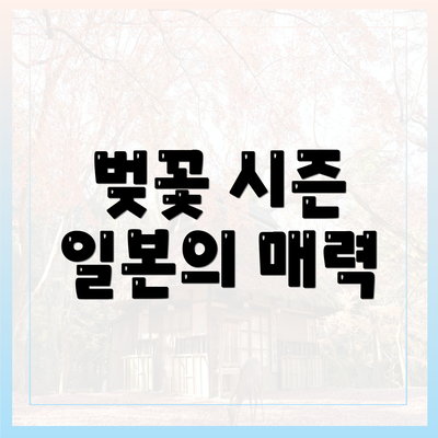 벚꽃 시즌 일본의 매력