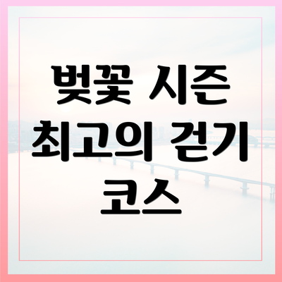 벚꽃 시즌 최고의 걷기 코스