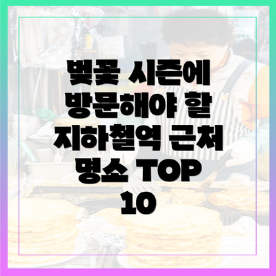 벚꽃 시즌에 방문해야 할 지하철역 근처 명소 TOP 10