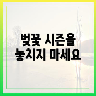 벚꽃 시즌을 놓치지 마세요