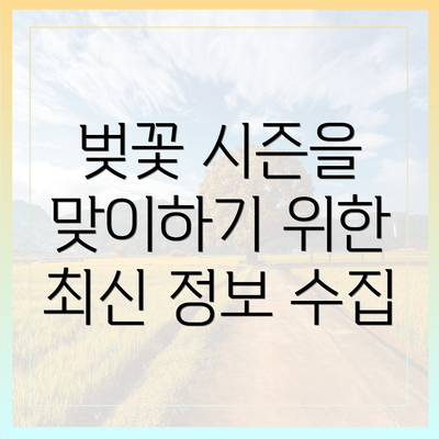벚꽃 시즌을 맞이하기 위한 최신 정보 수집