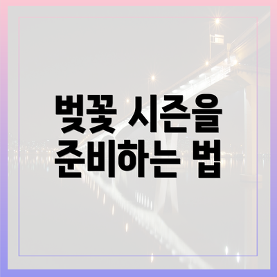벚꽃 시즌을 준비하는 법