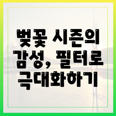 벚꽃 시즌의 감성, 필터로 극대화하기
