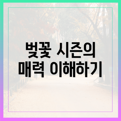 벚꽃 시즌의 매력 이해하기